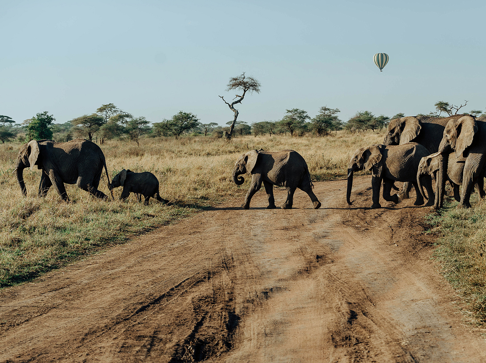 The Mara, at first light